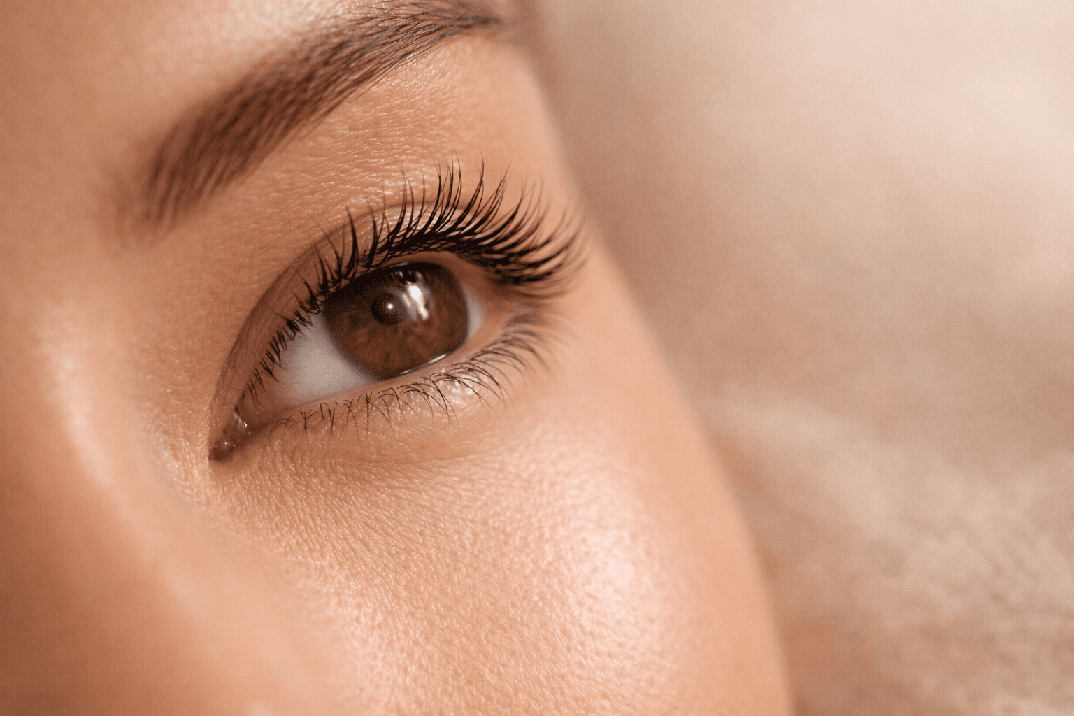 Wimpernlifting – Beautique JN Leipzig